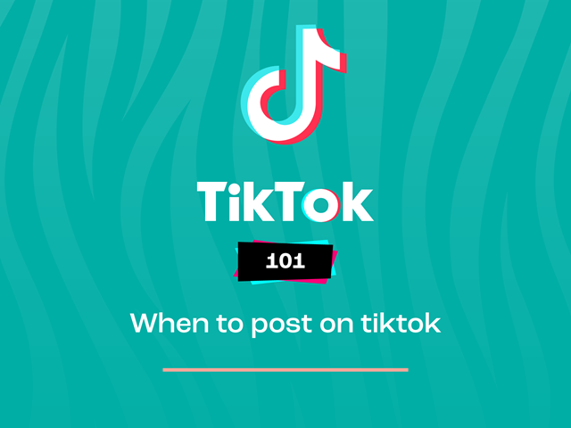 tigerbond TikTok 101: When to Post on TikTok