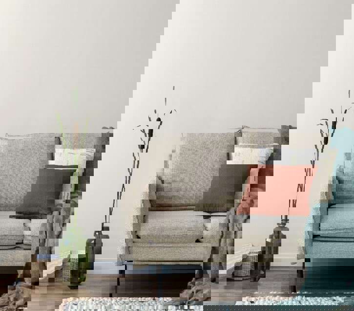 Colourtrend paint powdered shell design